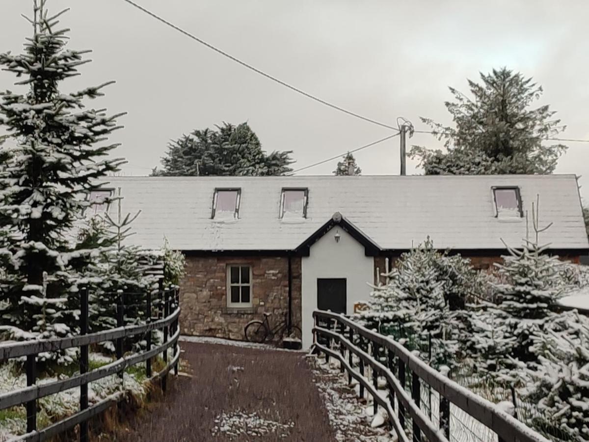 特拉利The Old House At Belfield别墅 外观 照片