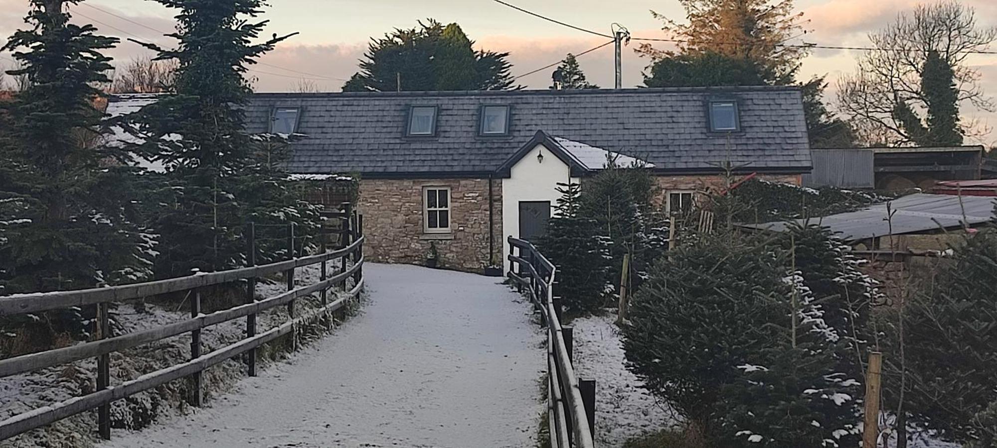 特拉利The Old House At Belfield别墅 外观 照片